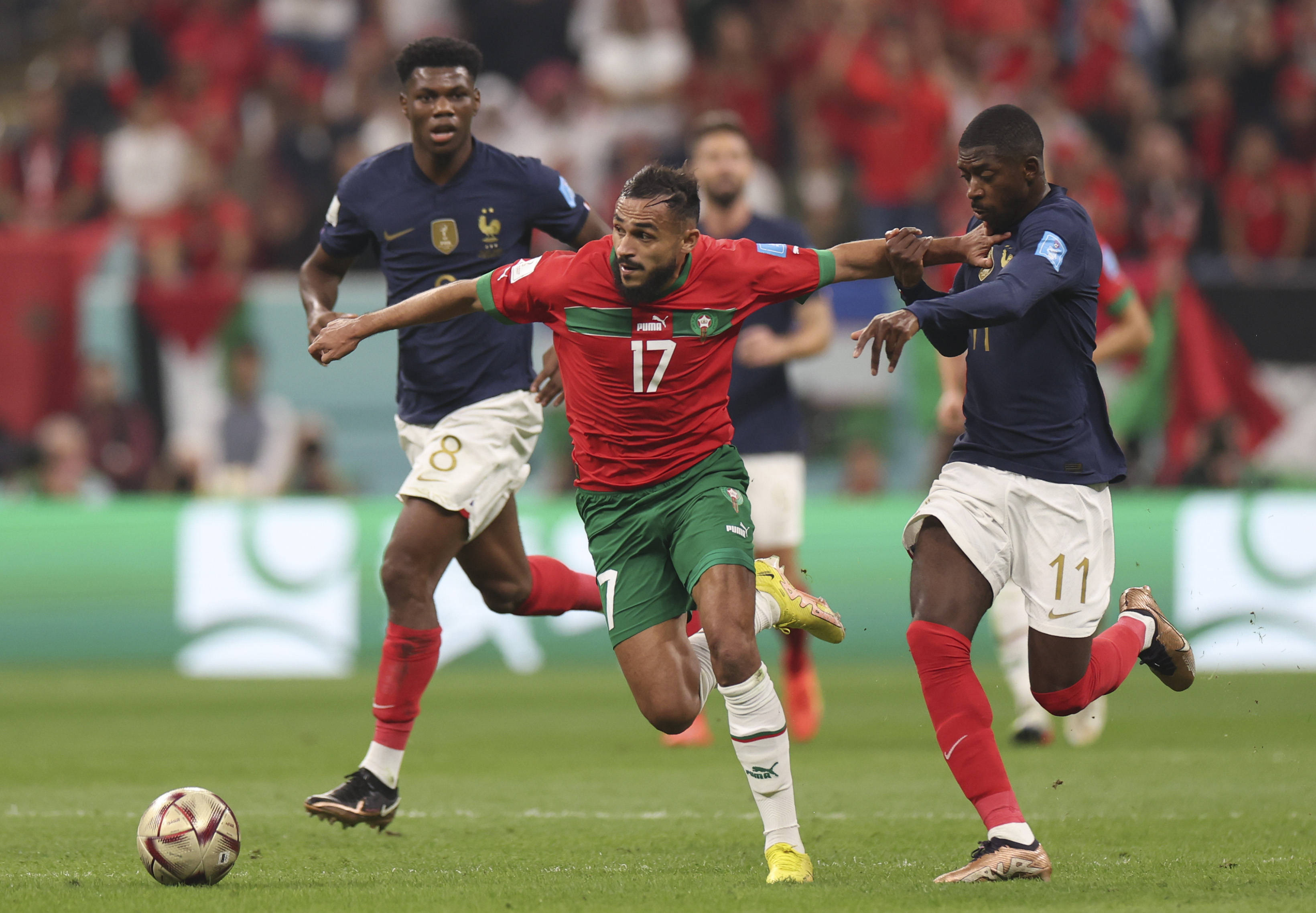 来说是一份 来说是一份