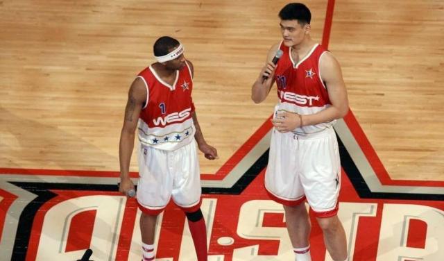 观赏基础 观赏基础